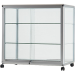Disk glasmontre