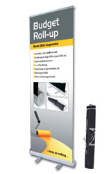 Budget Roll-Ups
